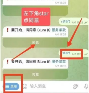 blum空投需要750MP,做任务怎么增加MP?